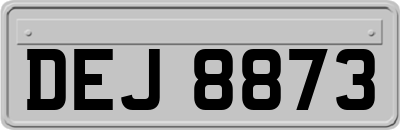 DEJ8873
