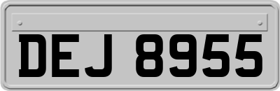 DEJ8955