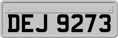 DEJ9273