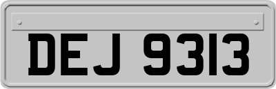 DEJ9313
