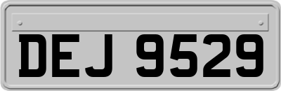 DEJ9529