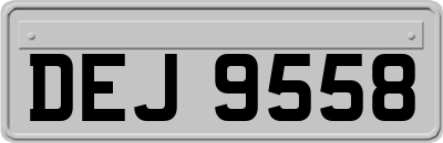 DEJ9558
