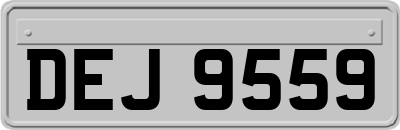 DEJ9559