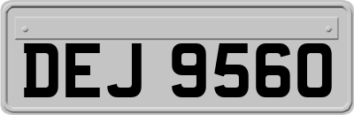 DEJ9560