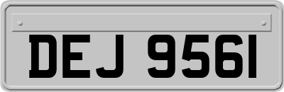 DEJ9561