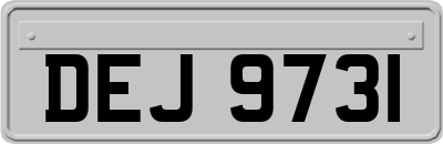 DEJ9731