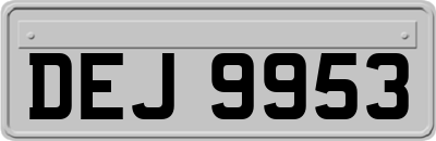 DEJ9953