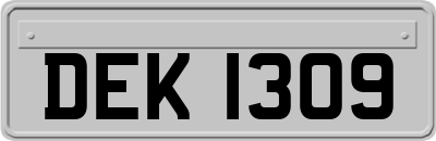DEK1309