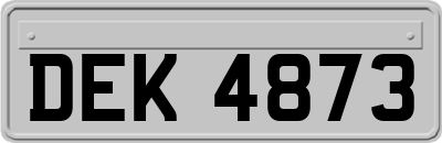 DEK4873