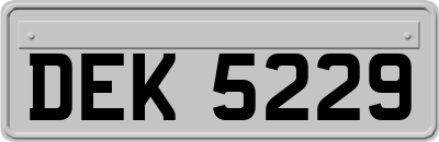 DEK5229
