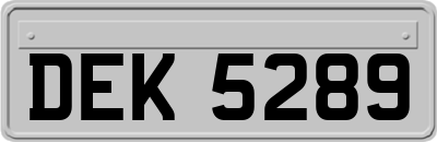 DEK5289