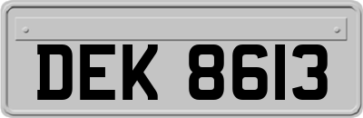 DEK8613
