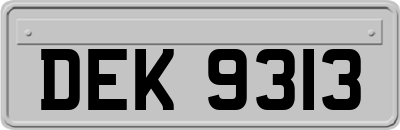 DEK9313