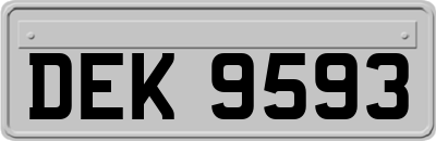 DEK9593