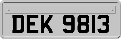 DEK9813