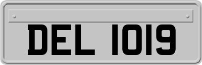 DEL1019