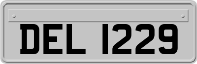 DEL1229