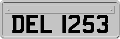 DEL1253