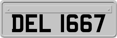 DEL1667
