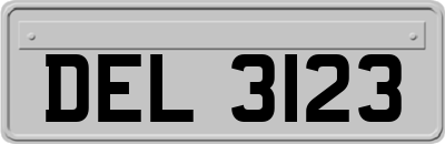 DEL3123