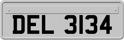 DEL3134