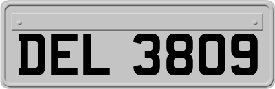 DEL3809