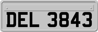 DEL3843