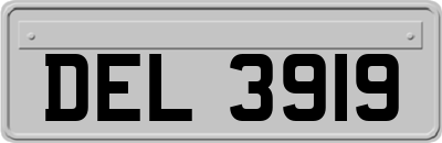 DEL3919