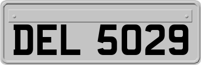DEL5029