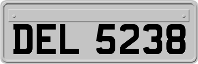 DEL5238