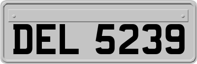 DEL5239