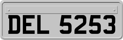 DEL5253