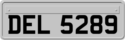 DEL5289