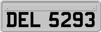 DEL5293