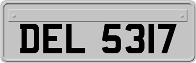 DEL5317