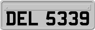 DEL5339