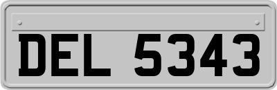 DEL5343