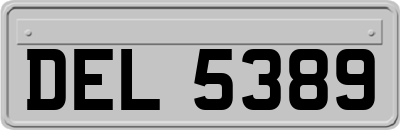 DEL5389