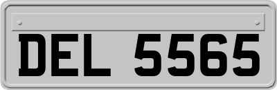 DEL5565