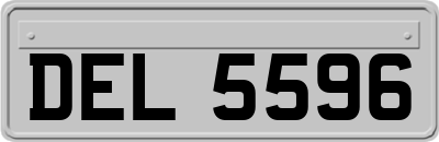DEL5596
