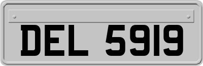 DEL5919