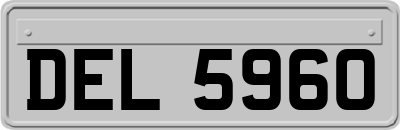 DEL5960