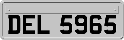 DEL5965