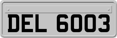 DEL6003