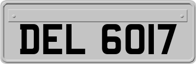 DEL6017