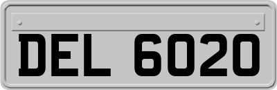DEL6020