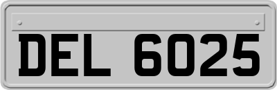 DEL6025