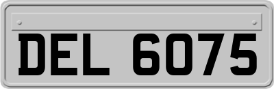 DEL6075