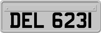 DEL6231