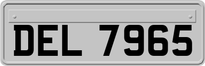DEL7965